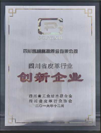 Innovating enterprise