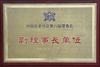 Vice Chairman Unit of Leather Association